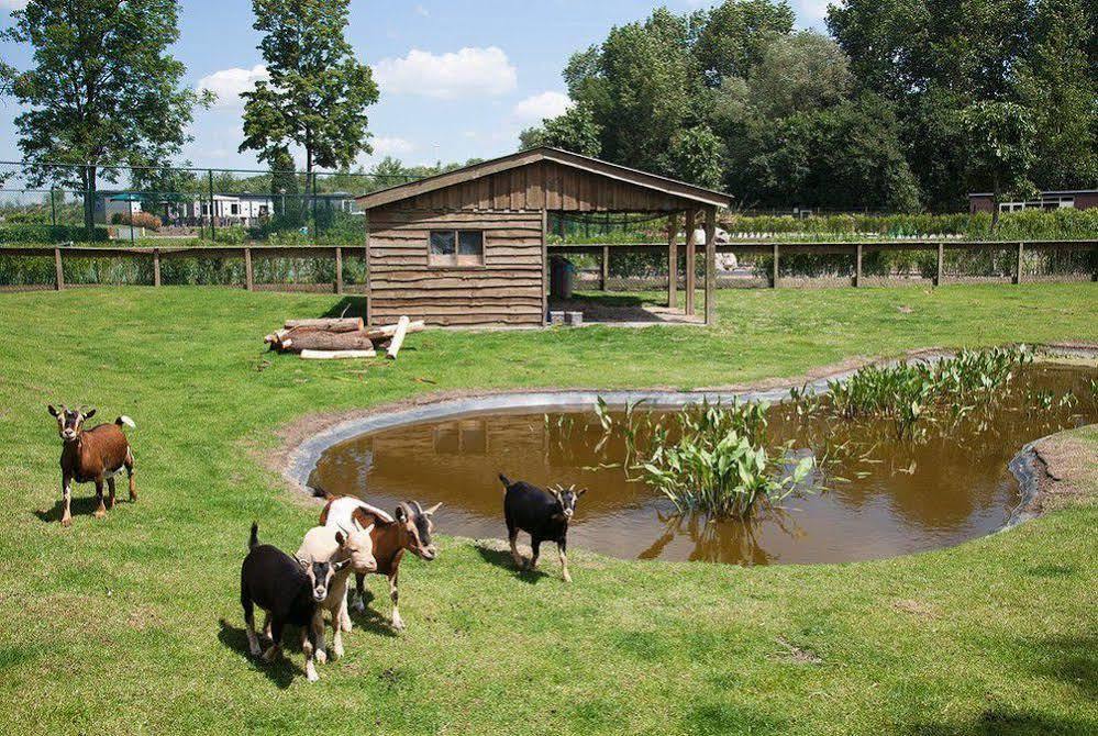 Hotel Europarcs De Biesbosch Willemsdorp Zewnętrze zdjęcie